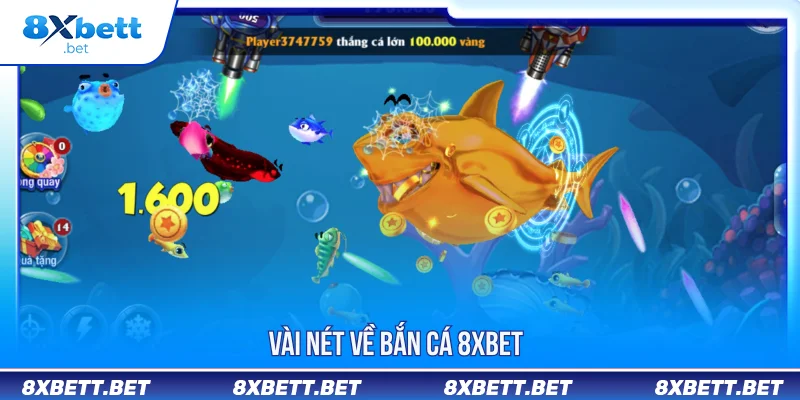 Bắn Cá 8XBET Với Kho Trò Chơi Hấp Dẫn Và Đối Tác Hàng Đầu Bắn Cá 8XBET Với Kho Trò Chơi Hấp Dẫn Và Đối Tác Hàng Đầu