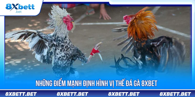 Đá Gà 8XBET - Trải Nghiệm Livestream Chiến Kê Chuẩn Nét Đá Gà 8XBET - Trải Nghiệm Livestream Chiến Kê Chuẩn Nét