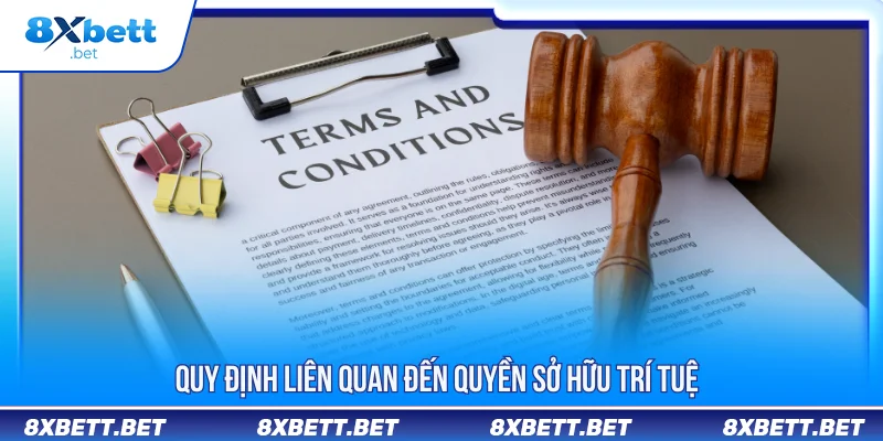 Điều Khoản Điều Kiện Tại 8XBET Hội Viên Cần Biết Điều Khoản Điều Kiện Tại 8XBET Hội Viên Cần Biết