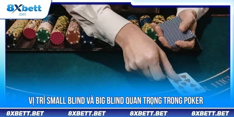 Luật Poker - Toàn Bộ Kiến Thức Cần Nắm Vững Khi Tham Gia Luật Poker - Toàn Bộ Kiến Thức Cần Nắm Vững Khi Tham Gia